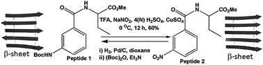 Graphical abstract: An efficient one pot ipso-nitration: structural transformation of a dipeptide by N-terminus modification