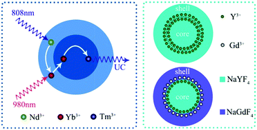 Graphical abstract: Synthesis of Nd3+/Yb3+ sensitized upconversion core–shell nanocrystals with optimized hosts and doping concentrations