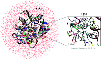 Graphical abstract: Insight into the catalytic mechanism of meta-cleavage product hydrolase BphD: a quantum mechanics/molecular mechanics study