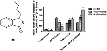 Graphical abstract: 5d, a novel analogue of 3-n-butylphthalide, protects brains against nervous injury induced by ischemia/reperfusion through Akt/Nrf2/NOX4 signaling pathway