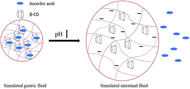 Graphical abstract: Preparation, characterization, and in vitro release of carboxymethyl starch/β-cyclodextrin microgel–ascorbic acid inclusion complexes