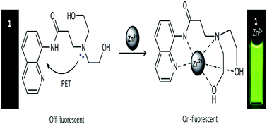 Graphical abstract: A highly selective fluorescent chemosensor based on a quinoline derivative for zinc ions in pure water