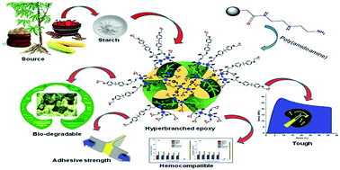 Graphical abstract: A starch based sustainable tough hyperbranched epoxy thermoset
