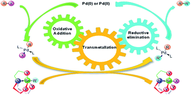 Graphical abstract: Carbastannatranes: a powerful coupling mediators in Stille coupling