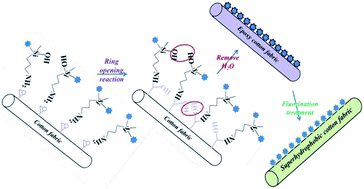 Graphical abstract: Superhydrophobic cotton textile with robust composite film and flame retardancy