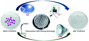 Graphical abstract: Hybrid bismuth oxyhalides@gypsum as self-cleaning composites: novel aspects of a sustainable photocatalytic technology for solar environmental cleanup