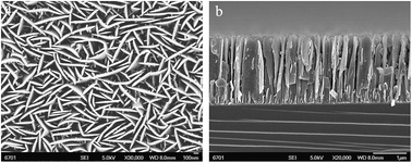 Graphical abstract: Tribological behavior of WS2-based solid/liquid lubricating systems dominated by the surface properties of WS2 crystallographic planes