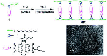 Graphical abstract: Precisely designed perylene bisimide-substituted polyethylene with a high glass transition temperature and an ordered architecture