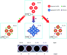 Graphical abstract: A colorimetric Boolean INHIBIT logic gate for the determination of sulfide based on citrate-capped gold nanoparticles