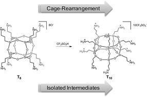 Graphical abstract: Novel organic–inorganic hybrids based on T8 and T10 silsesquioxanes: synthesis, cage-rearrangement and properties