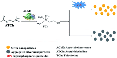 Graphical abstract: Developing acetylcholinesterase-based inhibition assay by modulated synthesis of silver nanoparticles: applications for sensing of organophosphorus pesticides