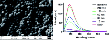 Graphical abstract: Hydrothermal synthesis and characterization of carbon nanospheres: a mechanistic insight