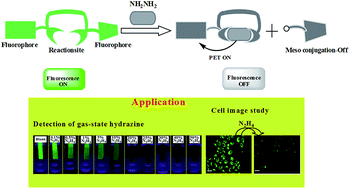 Graphical abstract: A BODIPY/pyrene-based chemodosimetric fluorescent chemosensor for selective sensing of hydrazine in the gas and aqueous solution state and its imaging in living cells
