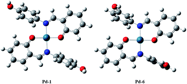 Graphical abstract: Chelate N,O-palladium(ii) complexes: synthesis, characterization and biological activity