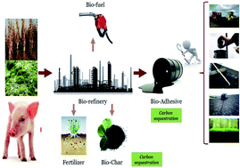 Graphical abstract: Physiochemical characterization of synthetic bio-oils produced from bio-mass: a sustainable source for construction bio-adhesives