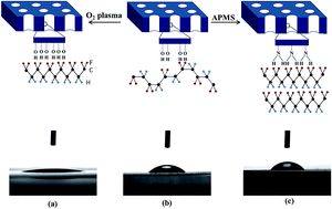 Graphical abstract: The induction of poly(vinylidene fluoride) electroactive phase by modified anodic aluminum oxide template nanopore surface