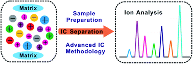 Graphical abstract: Advanced analytical methods and sample preparation for ion chromatography techniques