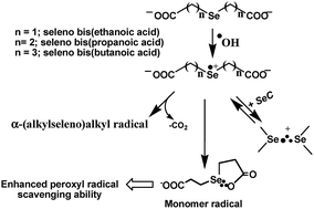 Graphical abstract: Effect of alkyl chain length on one-electron oxidation of bis(alkyl carboxylic acid) selenides: implication on their antioxidant ability