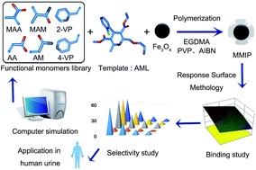 Graphical abstract: Adsorption behavior of a computer-aid designed magnetic molecularly imprinted polymer via response surface methodology