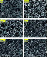 Graphical abstract: The improved effect of co-doping with nano-SiO2 and nano-Al2O3 on the performance of poly(methyl methacrylate-acrylonitrile-ethyl acrylate) based gel polymer electrolyte for lithium ion batteries