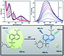 Graphical abstract: Combined photophysical, NMR and theoretical (DFT) study on the interaction of a multi component system in the absence and presence of different biologically and environmentally important ions