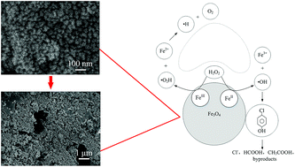 Graphical abstract: Catalytic oxidation of 4-chlorophenol with magnetic Fe3O4 nanoparticles: mechanisms and particle transformation
