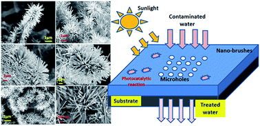 Graphical abstract: Solar light based degradation of organic pollutants using ZnO nanobrushes for water filtration