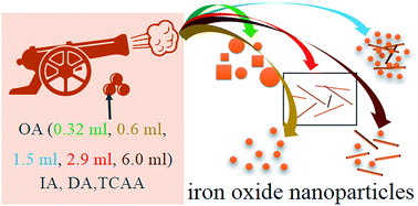 Graphical abstract: Superparamagnetic amorphous iron oxide nanowires self-assembled into ordered layered structures