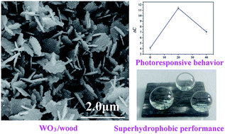 Graphical abstract: Photoresponsive and wetting performances of sheet-like nanostructures of tungsten trioxide thin films grown on wood surfaces