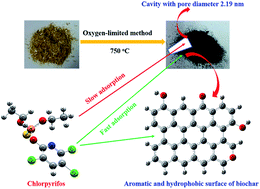 Graphical abstract: Removal of chlorpyrifos from waste water by wheat straw-derived biochar synthesized through oxygen-limited method