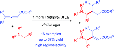 Graphical abstract: Visible light photoredox catalysis: regioselective radical addition of aminoalkyl radicals to 2,3-allenoates