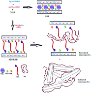 Graphical abstract: Synthesis of exfoliated polystyrene/anionic clay MgAl-layered double hydroxide: structural and thermal properties