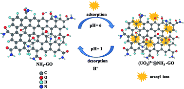 Graphical abstract: A facile method of synthesizing ammonia modified graphene oxide for efficient removal of uranyl ions from aqueous medium