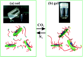 Graphical abstract: A facile CO2 switchable nanocomposite with reversible transition from sol to self-healable hydrogel