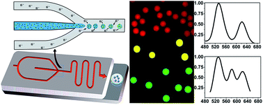 Graphical abstract: Microfluidic generation of uniform quantum dot-encoded microbeads by gelation of alginate