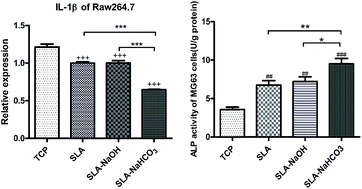 Graphical abstract: The influence of titanium surfaces treated by alkalis on macrophage and osteoblast-like cell adhesion and gene expression in vitro