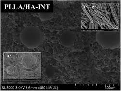Graphical abstract: WS2 inorganic nanotubes reinforced poly(l-lactic acid)/hydroxyapatite hybrid composite biomaterials