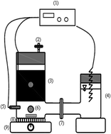 Graphical abstract: Variations of cellular components in Thermosynechococcus sp. CL-1 under electrochemical treatment