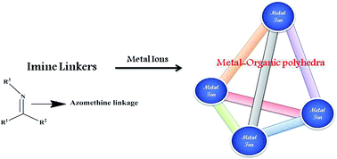 Graphical abstract: Dynamic imine chemistry in metal–organic polyhedra