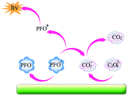 Graphical abstract: Conjugated polymer dots/oxalate anodic electrochemiluminescence system and its application for detecting melamine