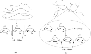 Graphical abstract: Recent progress in chemical modification of starch and its applications