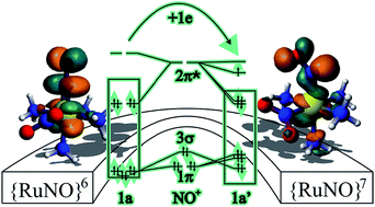 Graphical abstract: The influence of L ligands on the {RuNO}6/7 bonding situation in cis-[Ru(NO)(NO2)L1–4]q complexes: a theoretical insight