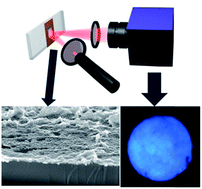 Graphical abstract: Direct spray deposition of silver nanoparticle films for biosensing applications