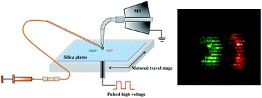 Graphical abstract: Ambient in situ analysis and imaging of both hydrophilic and hydrophobic thin layer chromatography plates by electrostatic spray ionization mass spectrometry