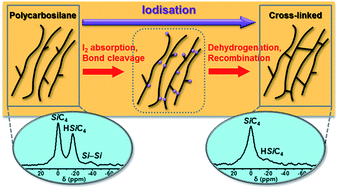 Graphical abstract: Room temperature reaction of polycarbosilane with iodine under different atmospheres for polymer-derived silicon carbide fibres