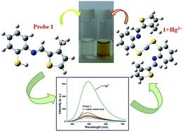 Graphical abstract: Chromogenic ‘naked eye’ and fluorogenic ‘turn on’ sensor for mercury metal ion using thiophene-based Schiff base