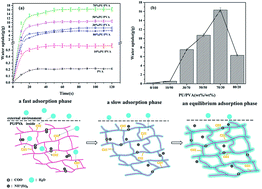 Graphical abstract: An environmentally friendly preparation and characterization of waterborne polyurethane hydrogels by polyvinyl alcohol physical cross-linking to improve water absorption