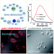 Graphical abstract: Furthering the chemosensing of silver nanoclusters for ion detection