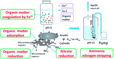 Graphical abstract: Simultaneous removal of organic matter and nitrate from bio-treated leachate via iron–carbon internal micro-electrolysis