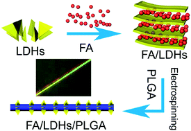 Graphical abstract: Synthesis and characterization of flurbiprofen axetil-loaded electrospun MgAl-LDHs/poly(lactic-co-glycolic acid) composite nanofibers